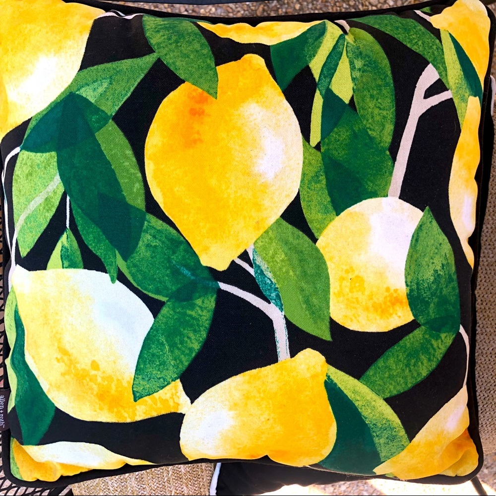 Allen & Roth indoor/outdoor pillow lemon motif